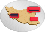 شبکه های اجتماعی داخلی